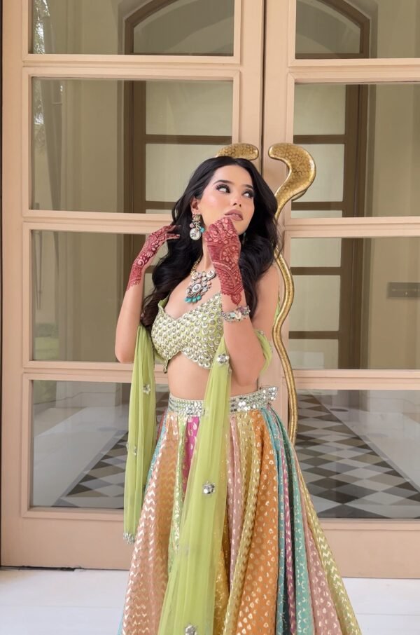 MULTI COLOURED LEHENGA - Image 3
