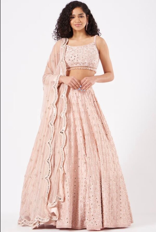 PEARL AND MIRROR BOX PATTERN LEHENGA