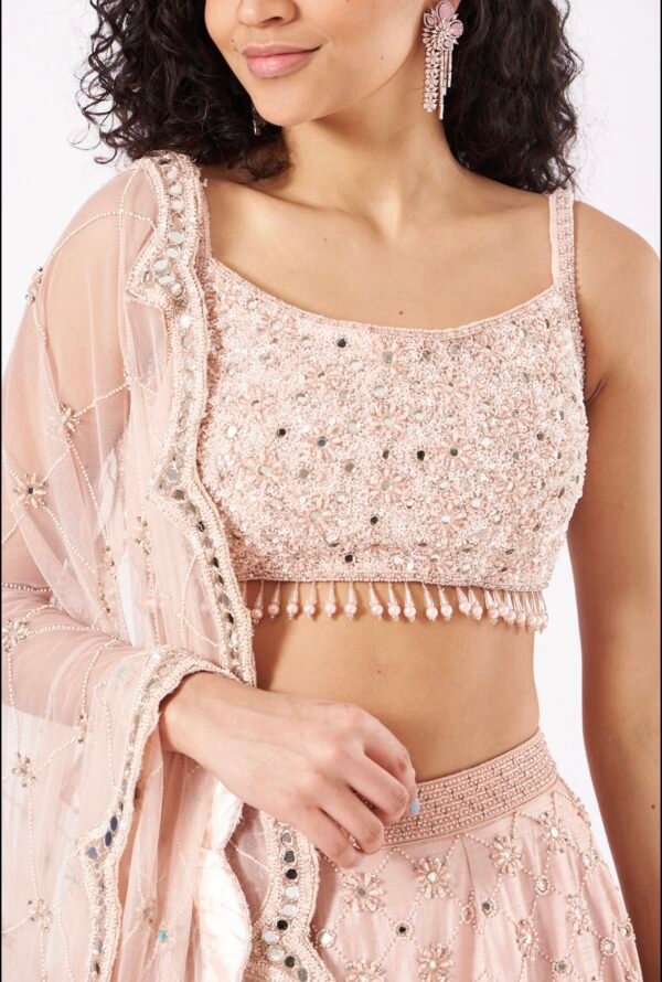 PEARL AND MIRROR BOX PATTERN LEHENGA - Image 3
