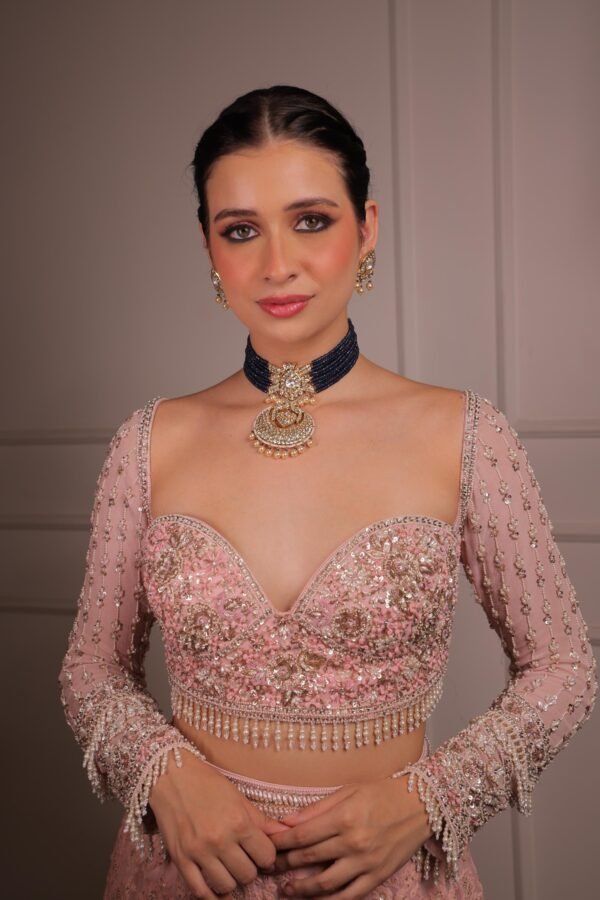 Pink Pastel Delicate Embroidery lehenga - Image 2