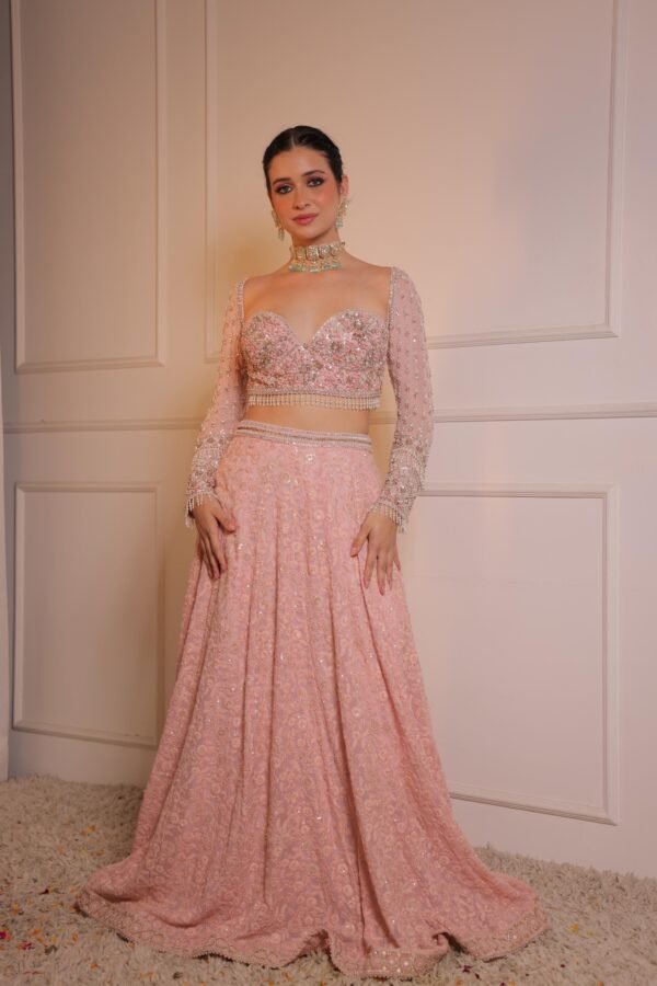 Pink Pastel Delicate Embroidery lehenga