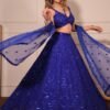Electric Blue Sequined Embroidered Lehenga - Image 2